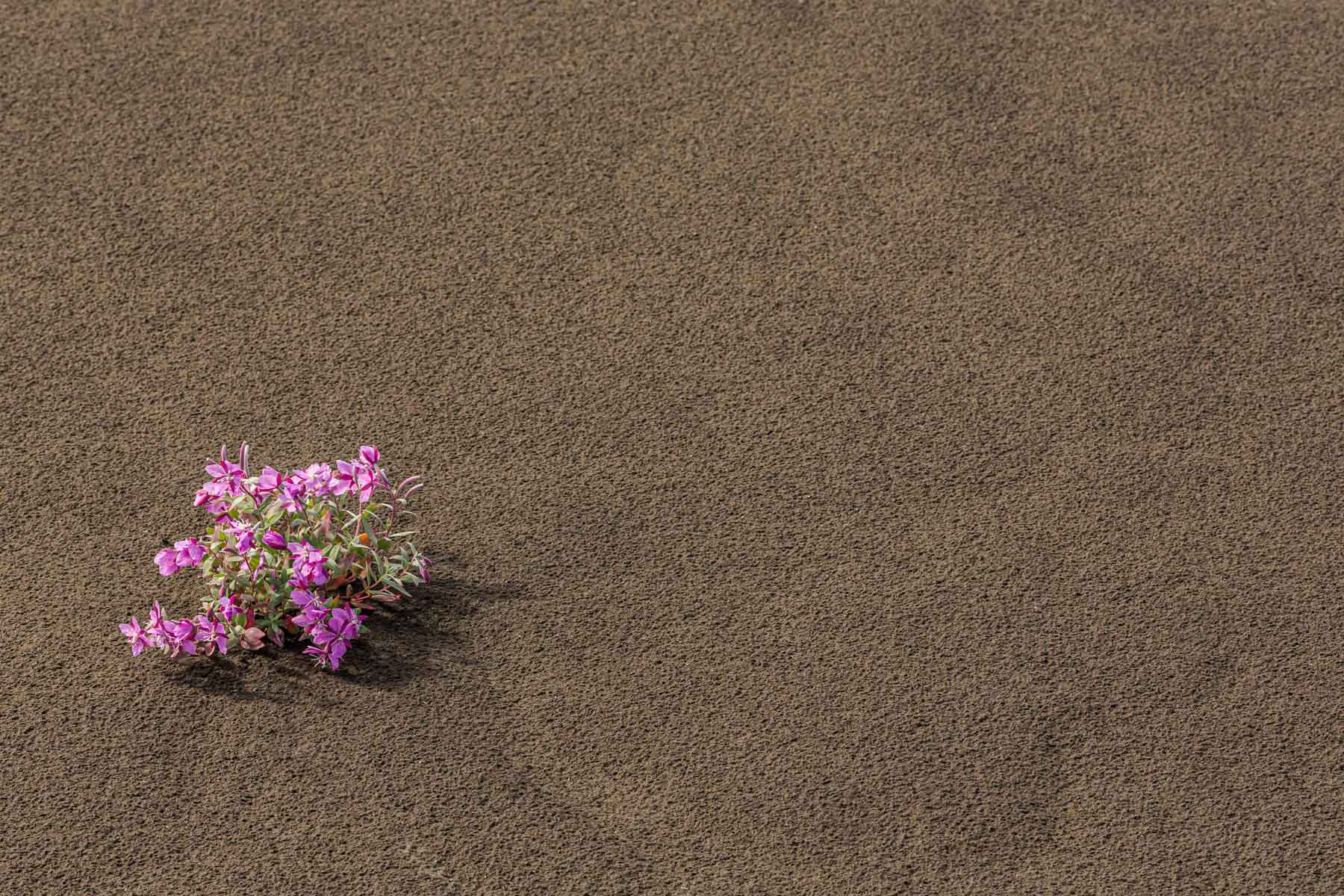 120807-042-23